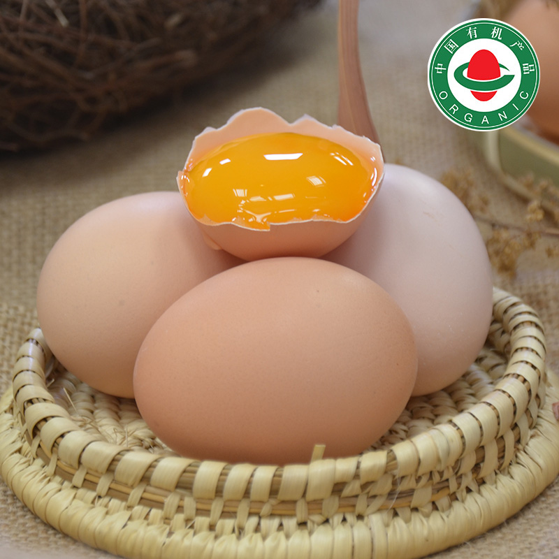 AA+油鸡有机初产新鲜柴鸡蛋40枚