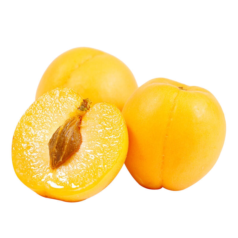【净重5斤】农家特产现摘现发陕西大黄杏