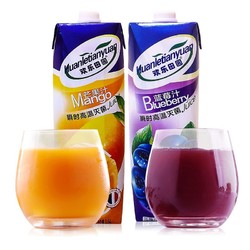 欢乐田园 蓝莓汁1.5L+芒果汁1.5L