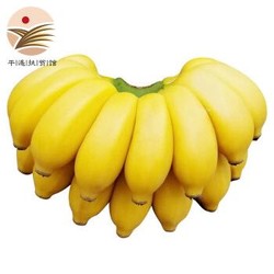 晋村 广西小米蕉 带箱9.4-10斤