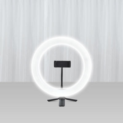 WEIFENG 伟峰 10寸环形补光灯+桌面支架