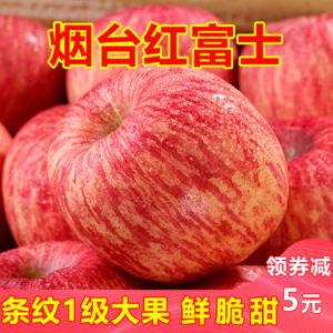 山东 烟台栖霞红富士苹果 5斤