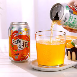 汉斯 香橙味碳酸饮料 330ml*12罐   