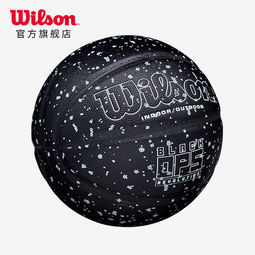 Wilson 威尔胜 WTB6800IB07CN 7号篮球   