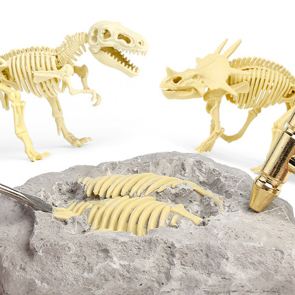 儿童恐龙化石考古挖掘玩具标本骨架