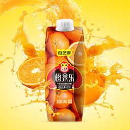 百芝源 橙果乐鲜榨橙汁饮料 330ml*6瓶   