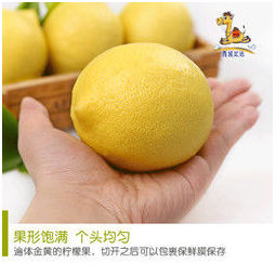 白菜价：西域足迹 四川安岳黄柠檬 75-110g 1000g   