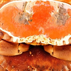 京东PLUS会员： 鲜味时刻 面包蟹熟冻螃蟹 1600-1200g（2只）