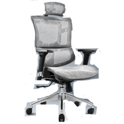 SITZONE DS-001A 人体工学电脑座椅 （铂金版）