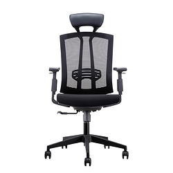 历史低价： Sitzone DS-163A 人体工学椅 黑色尼龙脚