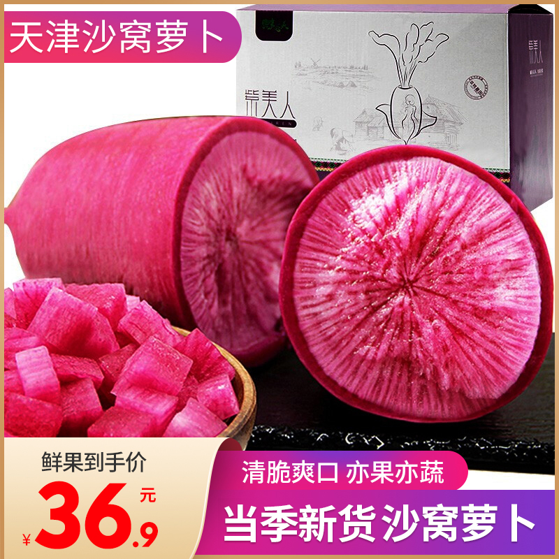 天津凤梨萝卜紫美人5斤