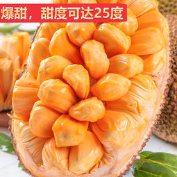 天使芳菲 新鲜越南红肉菠萝蜜 4-15斤   