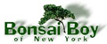 Bonsai Boy of New York