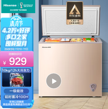 海信 (Hisense) 冰柜家用小型冷柜203升 冷藏冷冻转换柜一级能效 BD/BC-203NUD家庭母乳茶叶柜保鲜柜