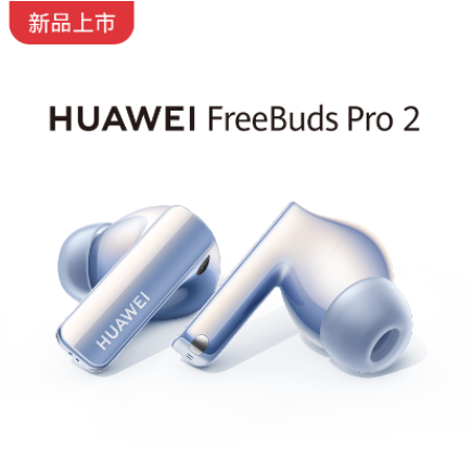 HUAWEI FreeBuds Pro 2 无线充 陶瓷白
