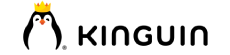 Kinguin DE10% off CS2 gift cards products