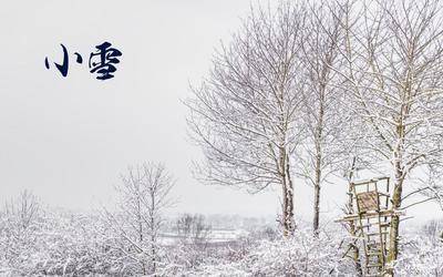 今日小雪, 记得“多吃6样，少食3样”, 应季而食，补足营养温暖过冬