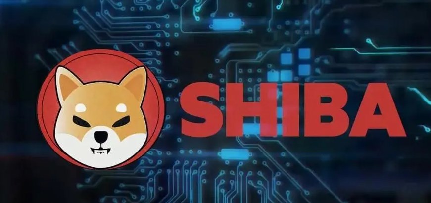 柴犬币详解：2021新星与价格走势