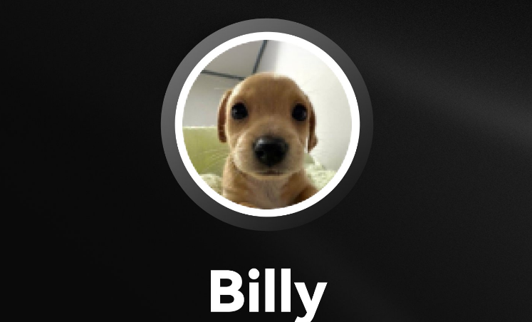 BILLY币详解：跨境交易与价值存储