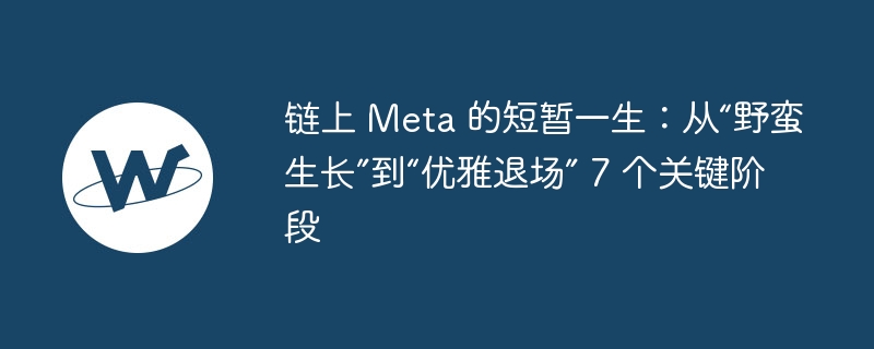 链上Meta七阶段：从野蛮生长到优雅退场