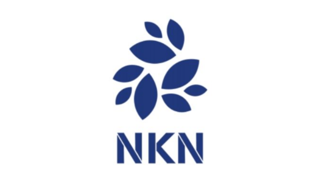 NKN币投资前景：优势与风险分析