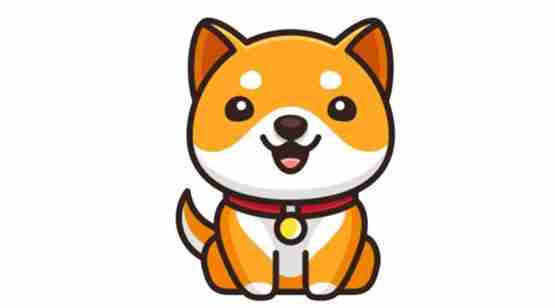 宝贝狗币解析：与马斯克的关系及投资价值