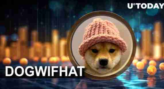 dogwifhat币详解：社区驱动与市场分析