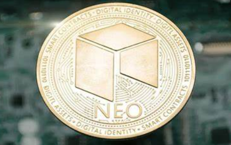 NEO投资价值：2025年展望与风险管理