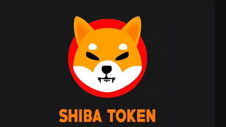 柴犬币未来涨幅分析：潜力与风险