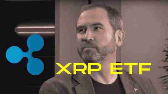XRP ETF申请：廉价的“Trump Call”？