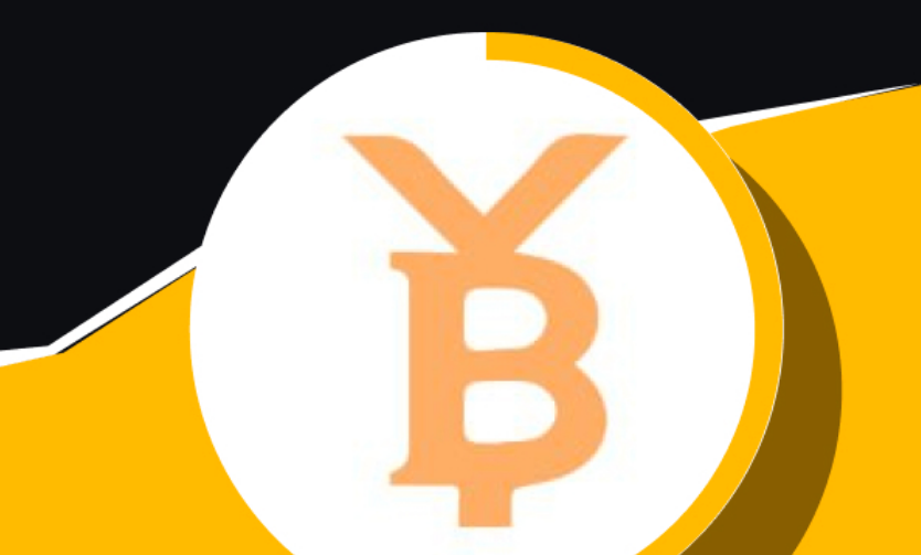 BTY币投资分析：技术优势与市场波动