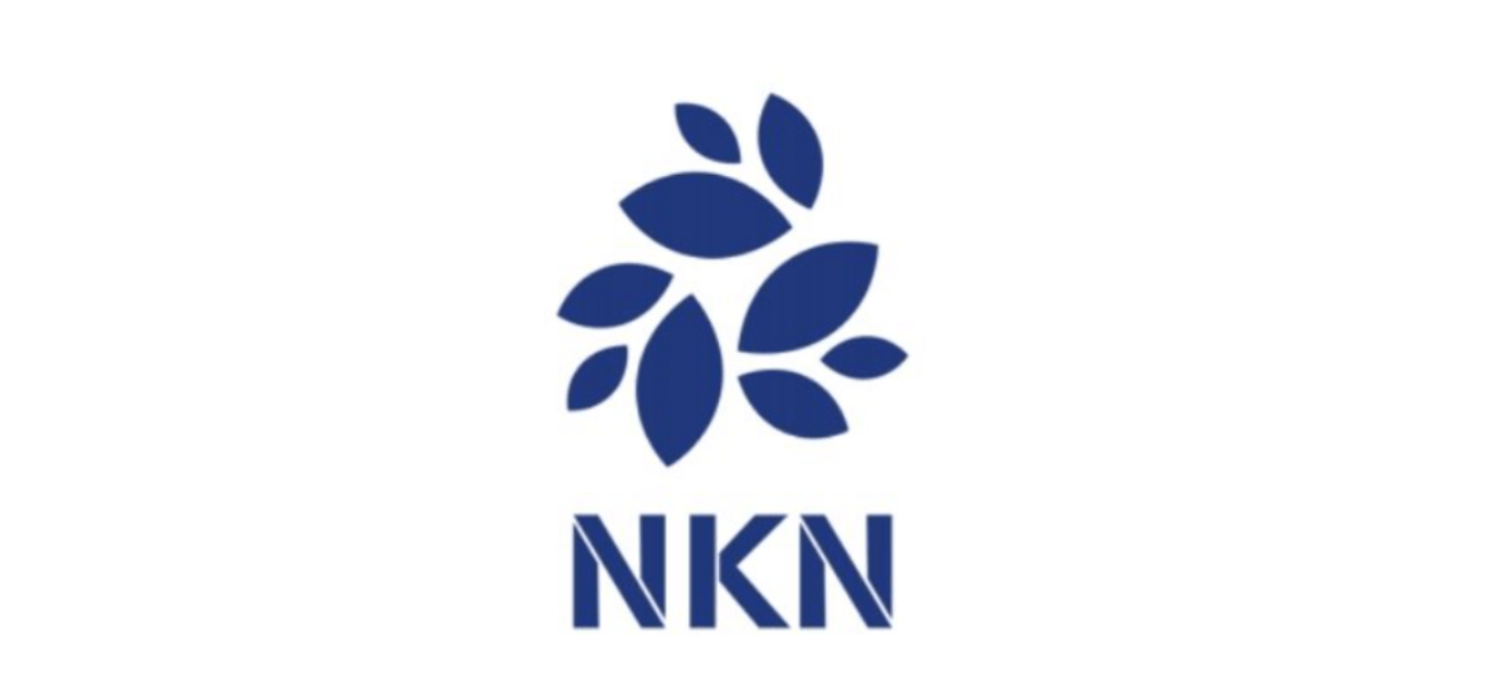 NKN币投资指南：风险与机遇