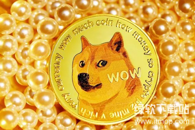 Doge投资指南：潜力与风险并存