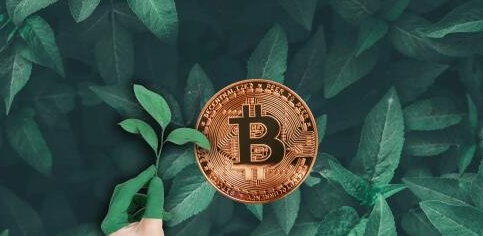 比特币挖矿软件推荐：顶级选择及对比