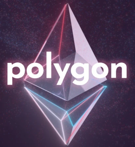 POL币跌势分析与未来展望