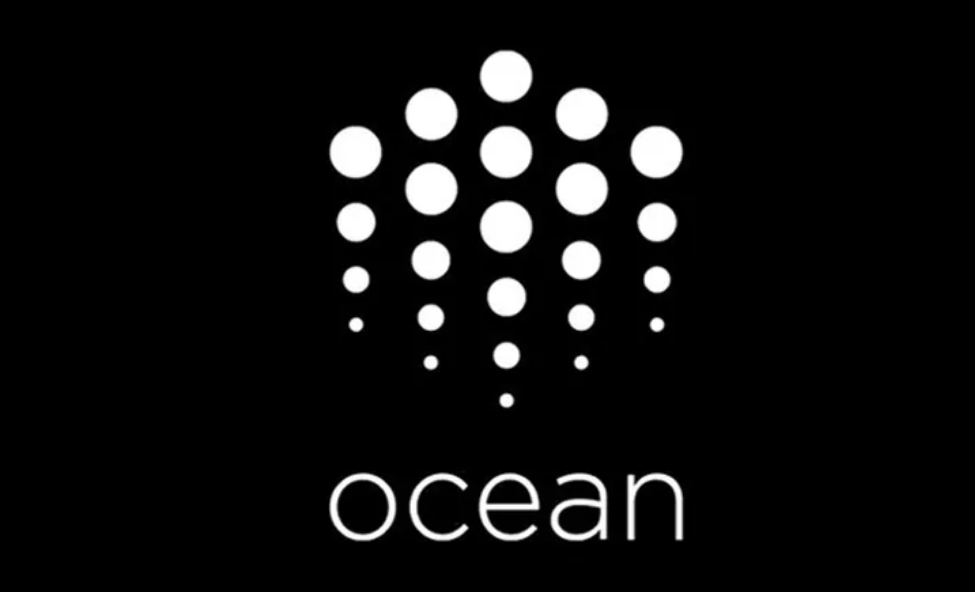 Ocean币前景：数据经济与Web3的机遇与挑战