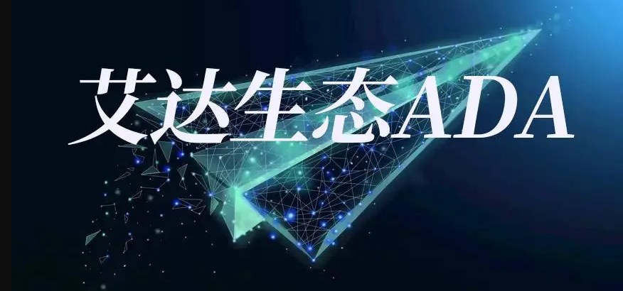 艾达币投资指南：潜力与风险并存