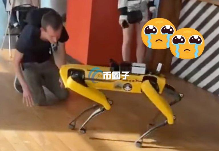 V神对机器人喵喵叫引爆币圈热议