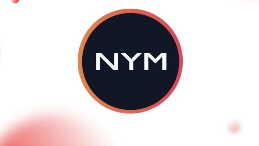 NYM币投资指南：隐私潜力与风险评估