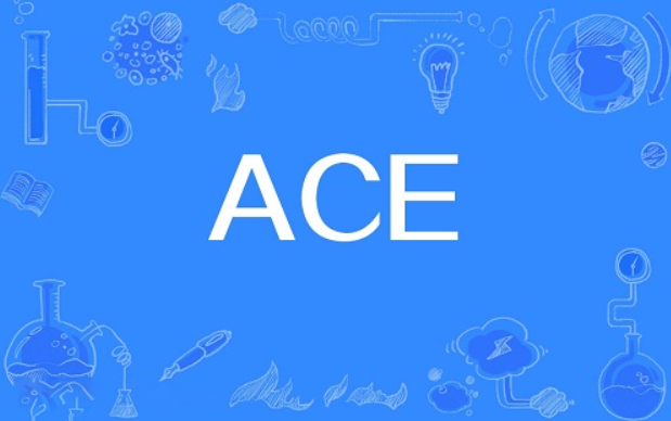 ACE币详解：Endurance区块链的潜力新星