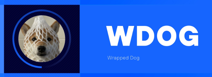Wrapped Dog历史最高价及市场影响分析