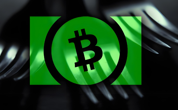 BCH分叉原因与作用深度解析