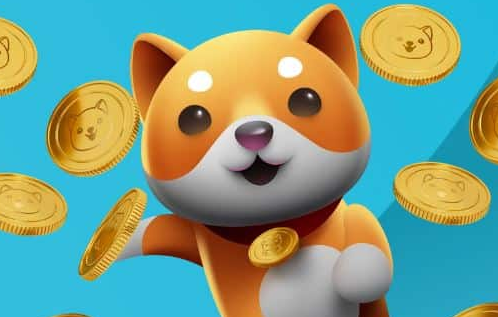 BabyDoge币揭秘：山寨币特征与价格分析