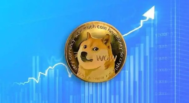 狗狗币投资分析：风险与回报