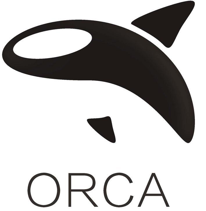 Orca币潜力分析：Solana生态中的投资机会