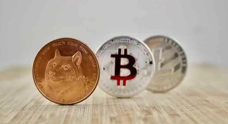 Doge币未来：长期价值与广泛应用