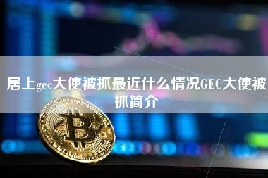 GEC大使被抓：传销币警示