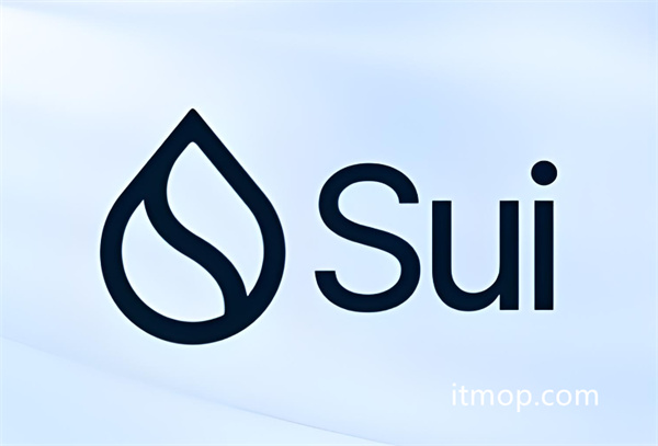 SUI币投资指南：长期持有潜力分析