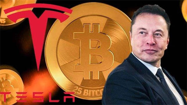 区块链新手必读：从入门到精通的详尽指南
