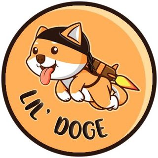 LILDOGE币警惕：防范非法传销陷阱